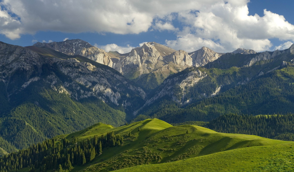 Горный ландшафт