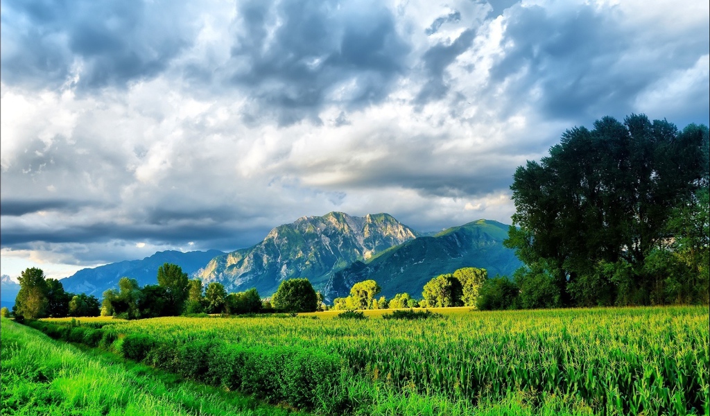 Горы и небо