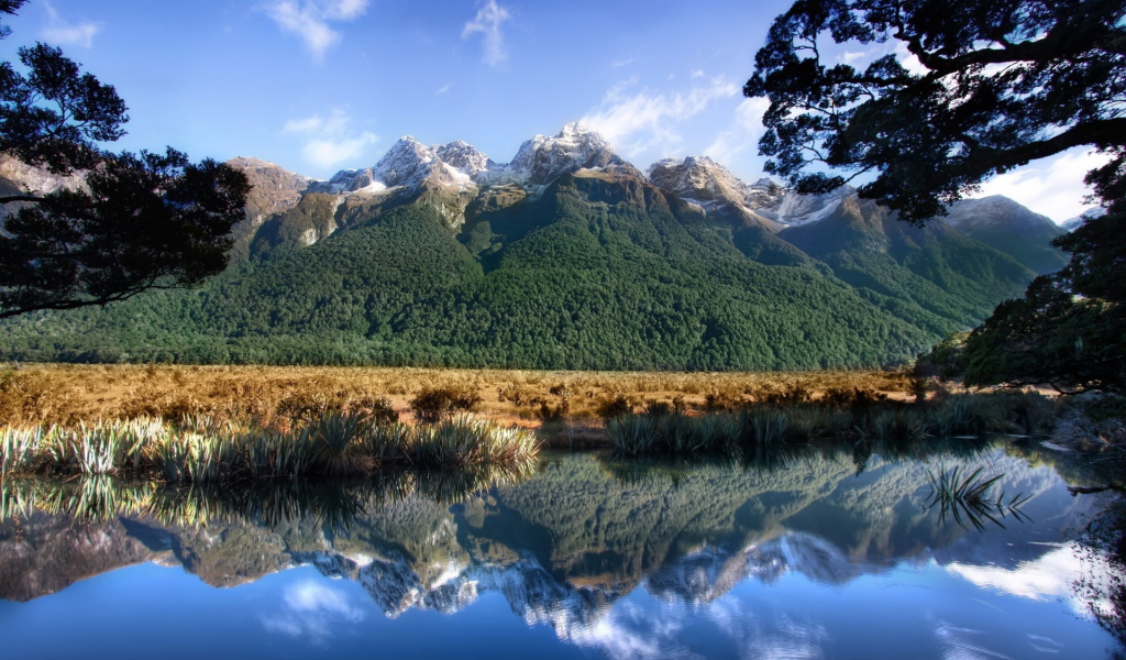 Горы и пруд