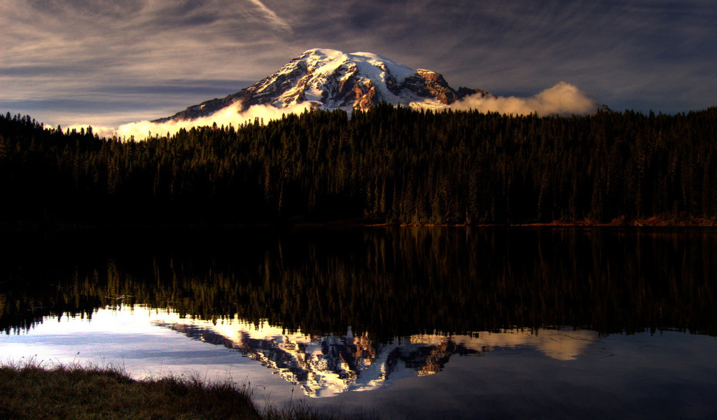 Горы за лесом