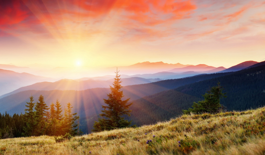 Горы покрытые лесом