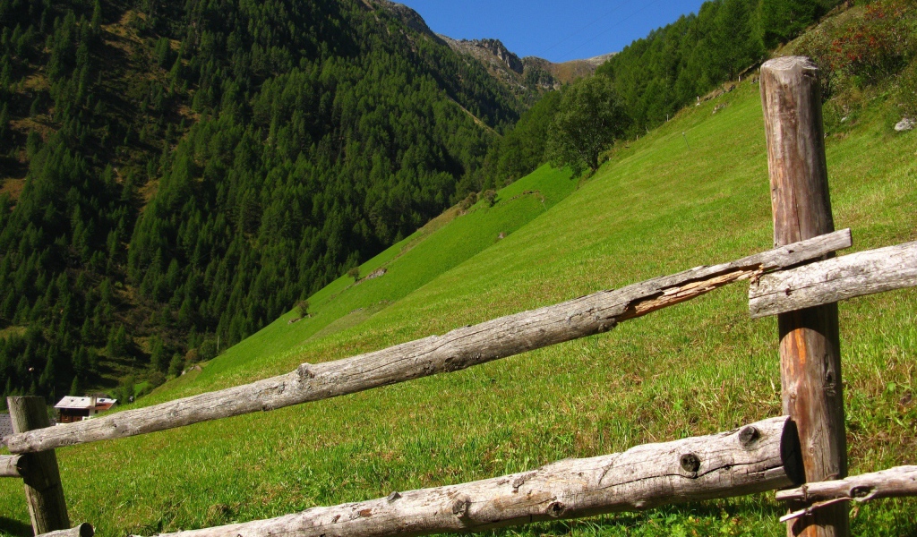 На склонах гор