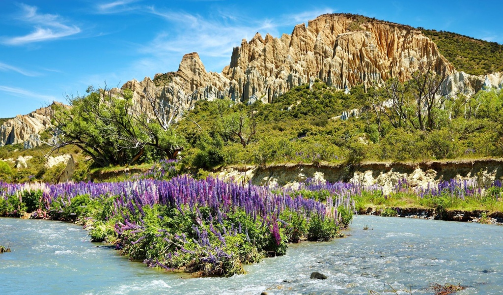 Скалы и речка