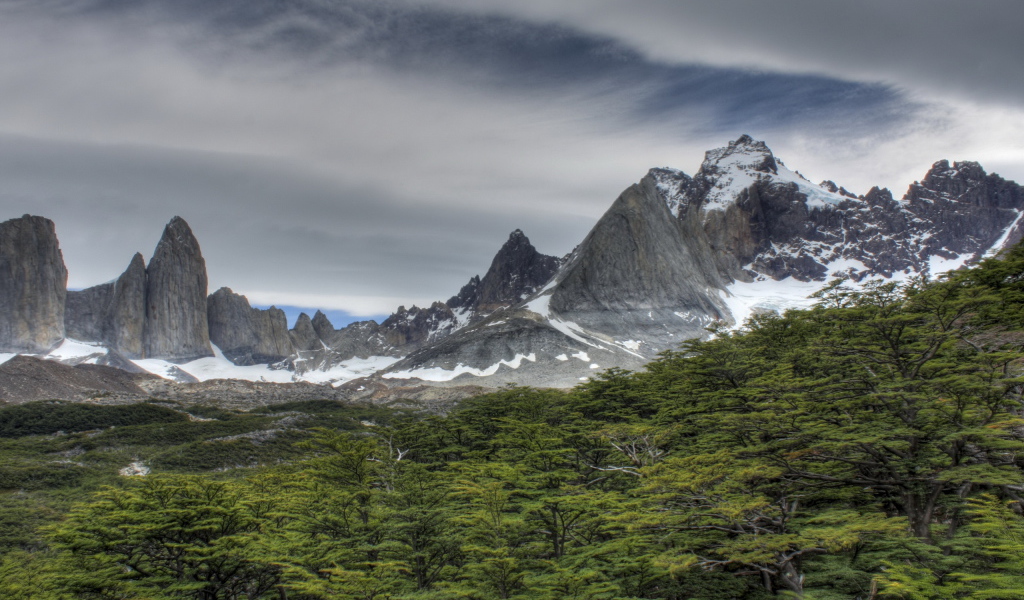 Скалы за лесом