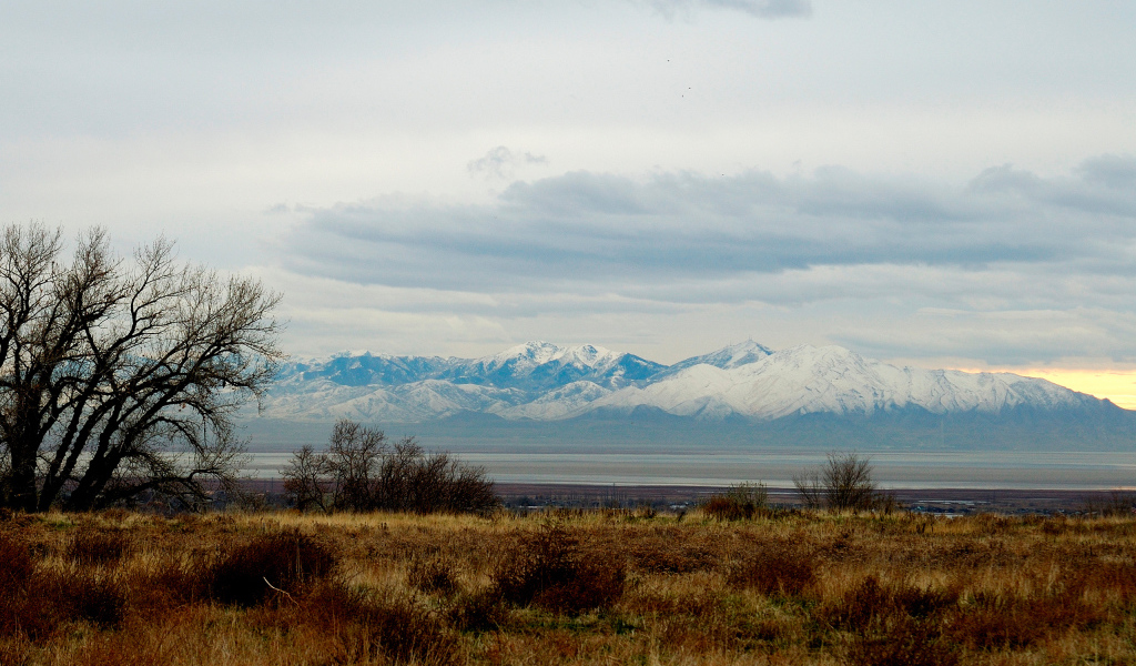 Снежные вершины