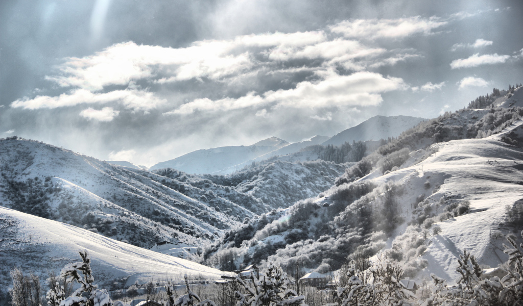 Снежные склоны