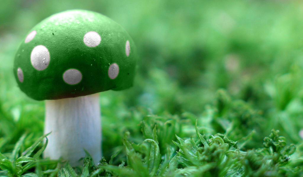 Зеленый мухомор