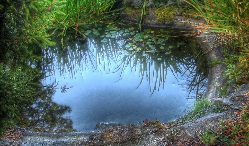 Среди камышей