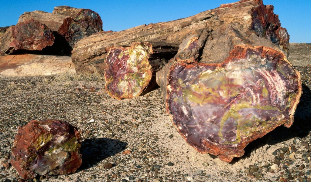 Древняя порода