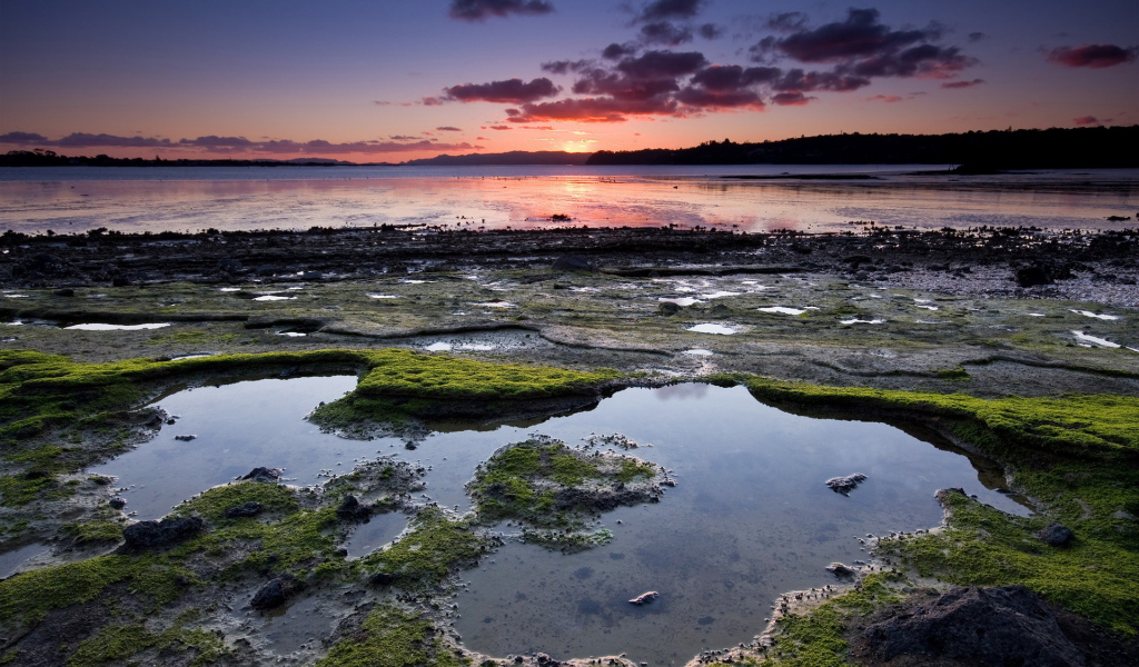 Омелевший берег