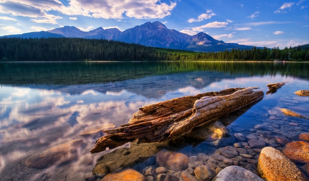 Красивый пейзаж