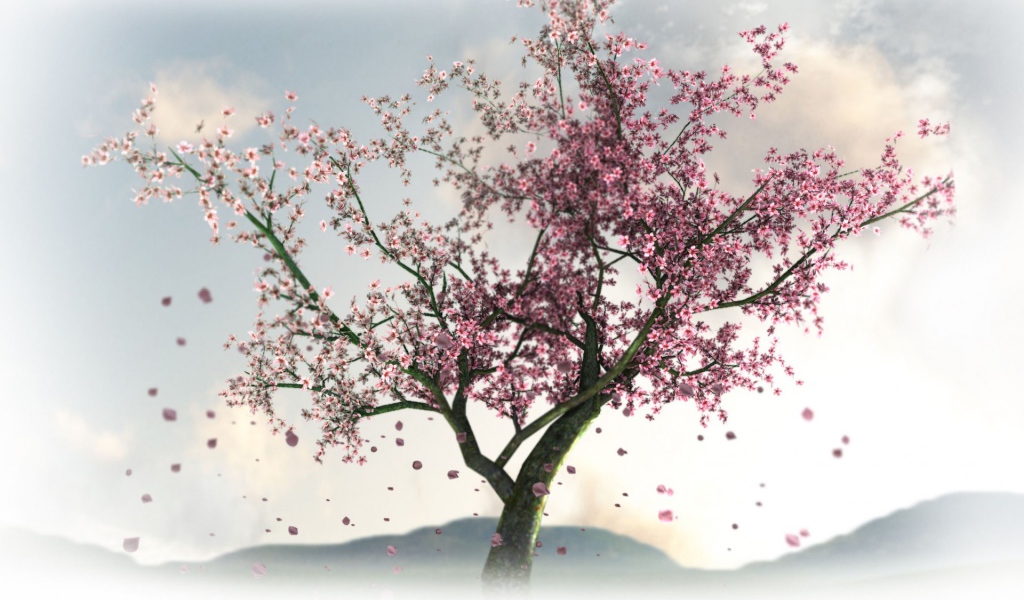 Цветущая сакура