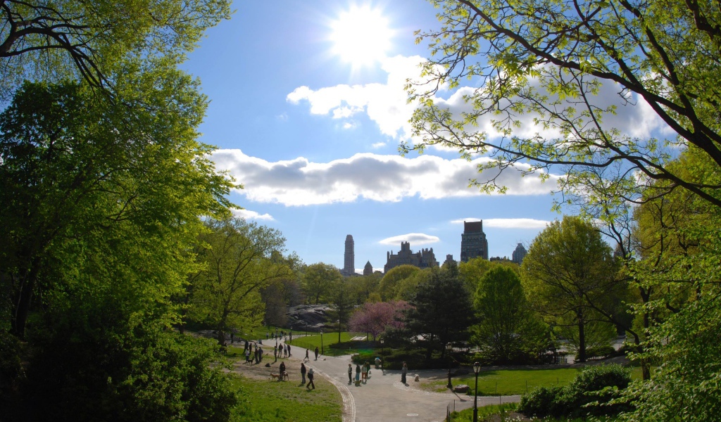 Городской парк