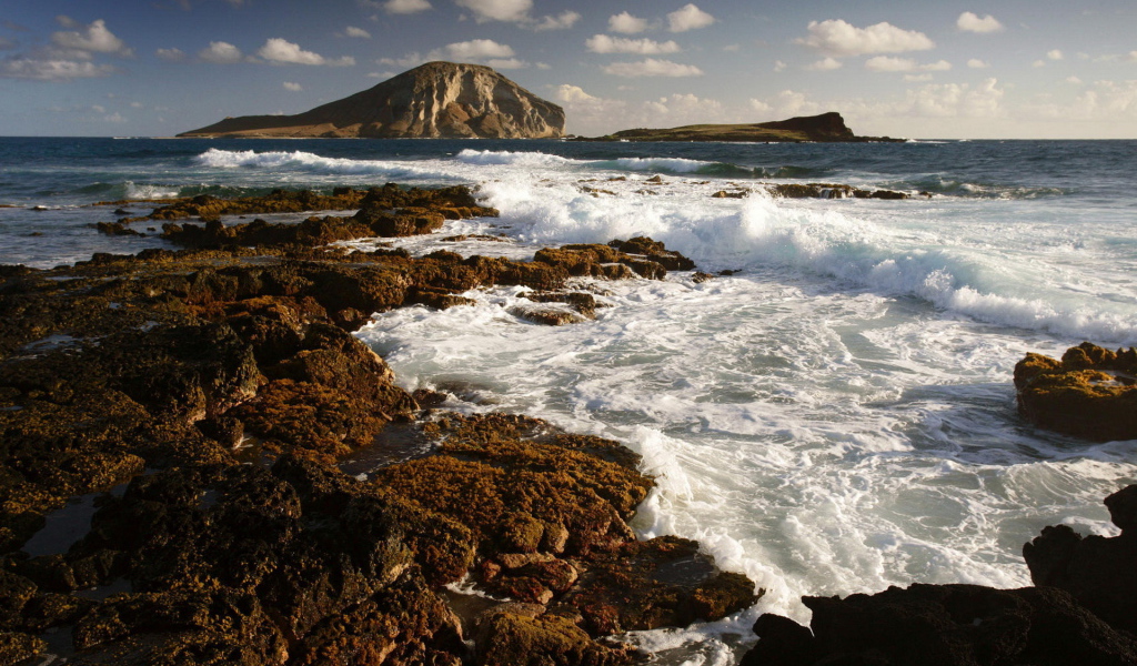 Морской берег