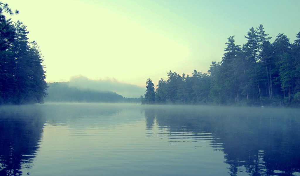 Туман в сумерках