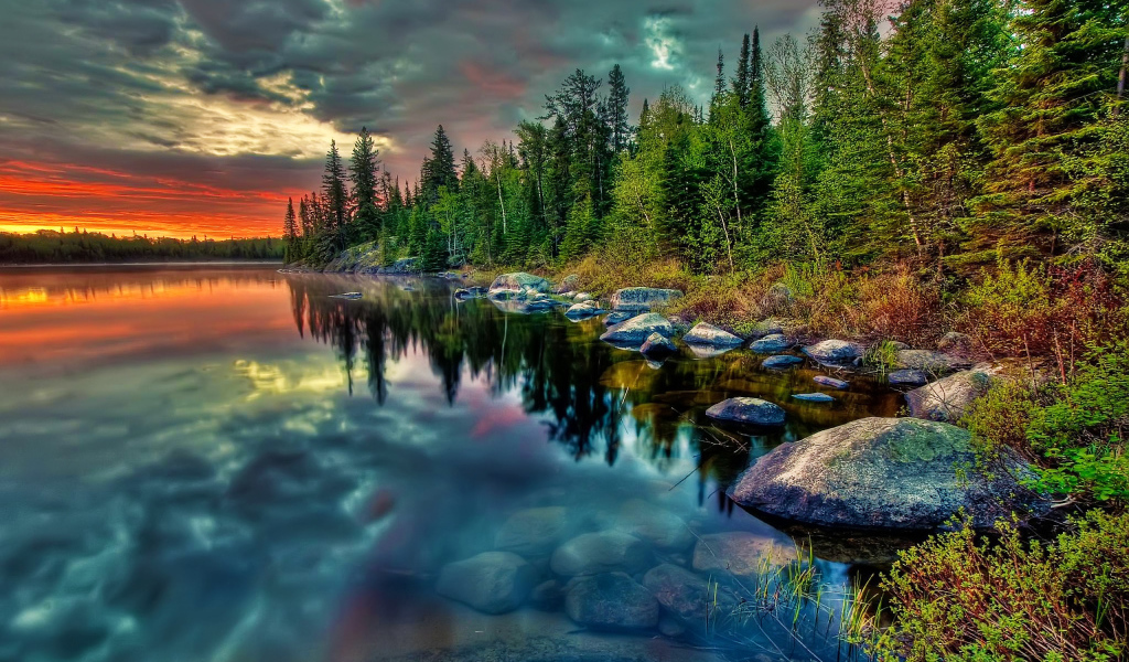 Лесное озеро