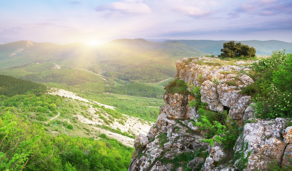 Лесная долина