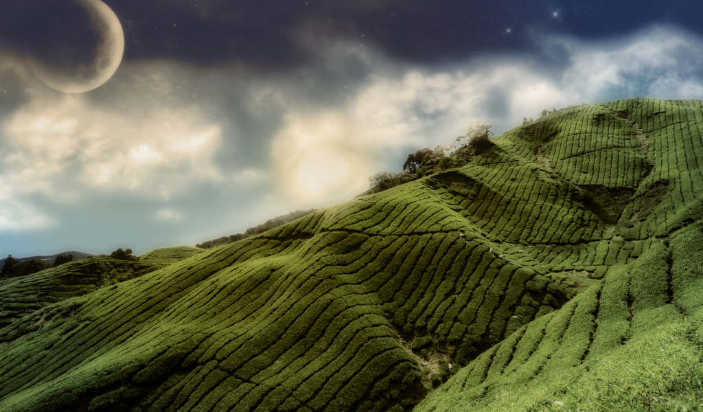 Зеленые холмы