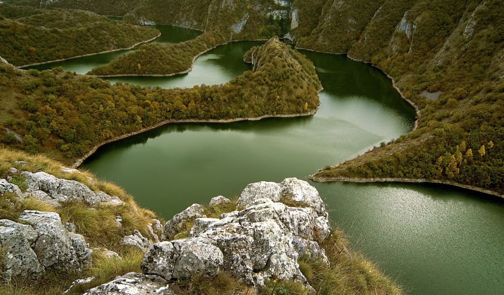 Извилистая река