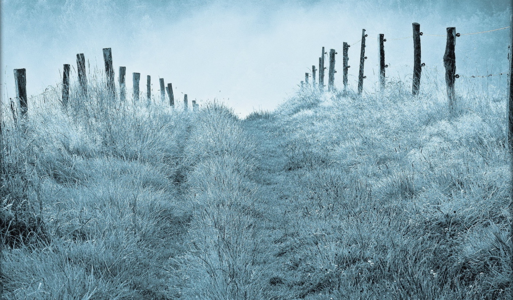 Туманным утром