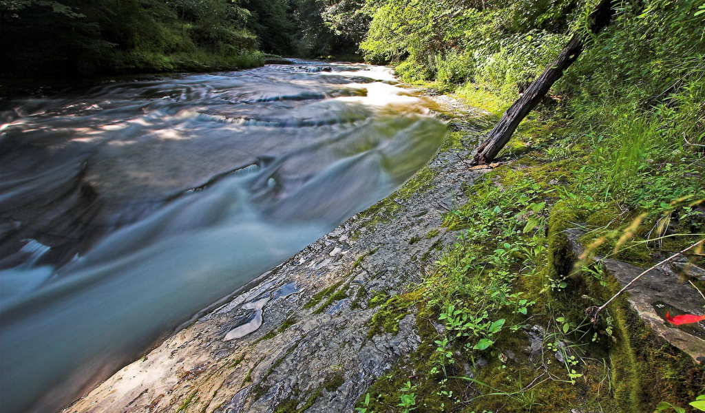 Стремительная речка