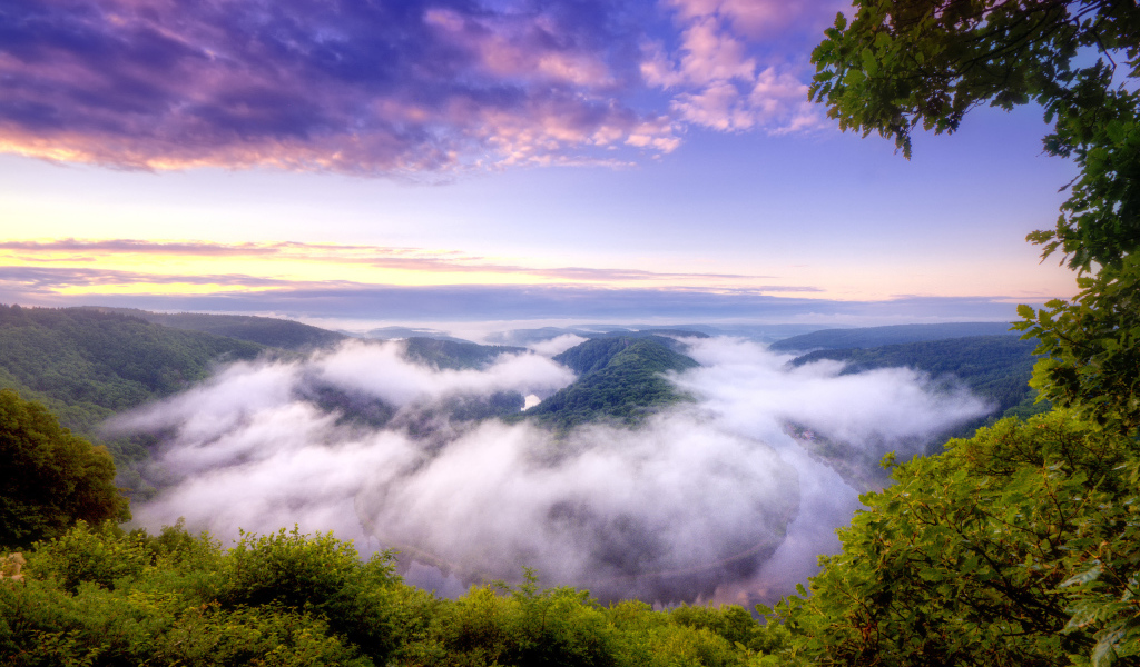 Река в тумане