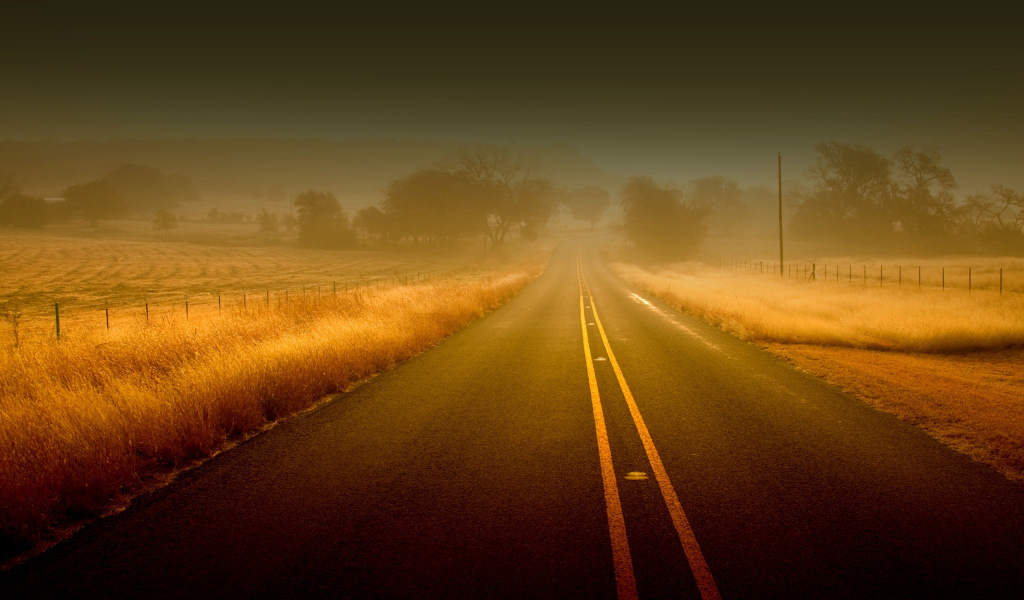 Дорога вперед