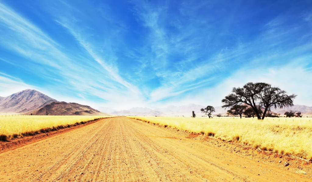 Дорога в саванне