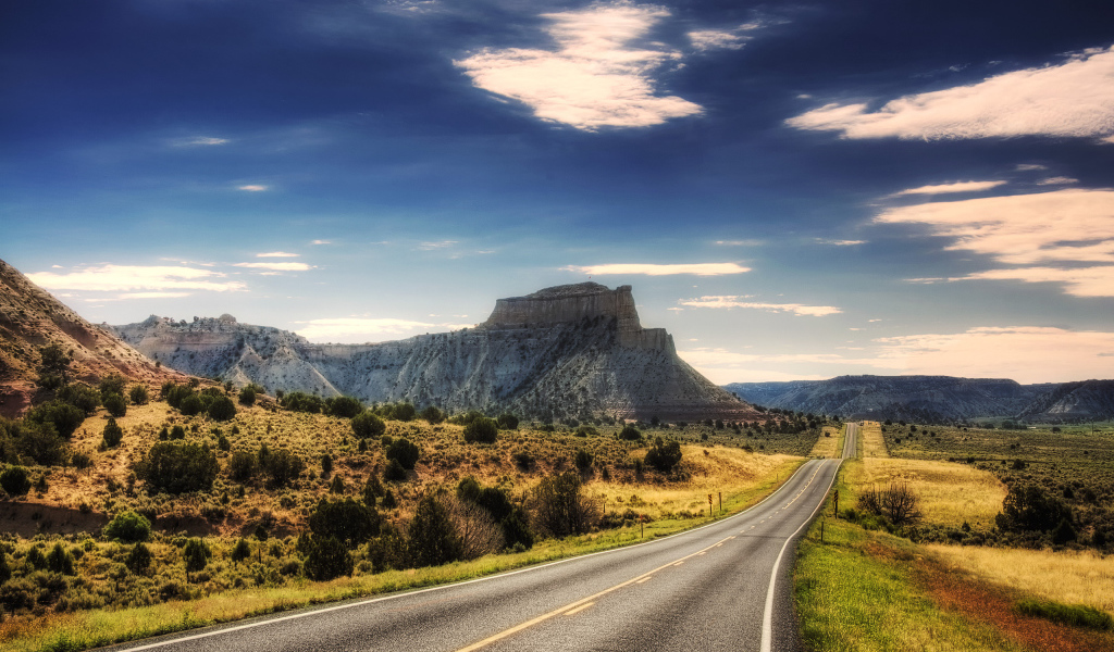 Придорожный пейзаж