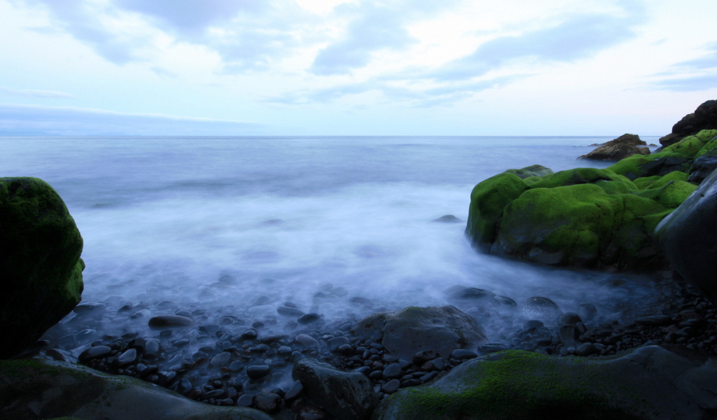 Морское побережье