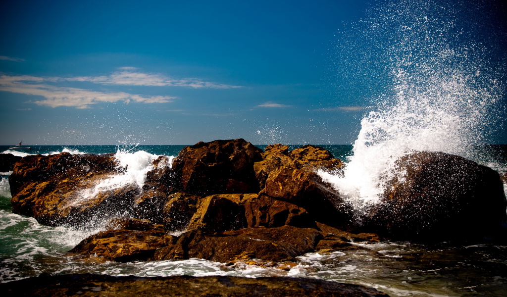 Прибрежная полоса