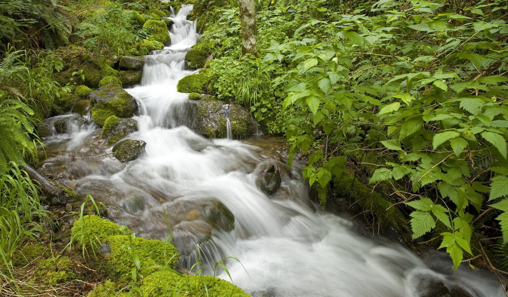 Маленький ручей