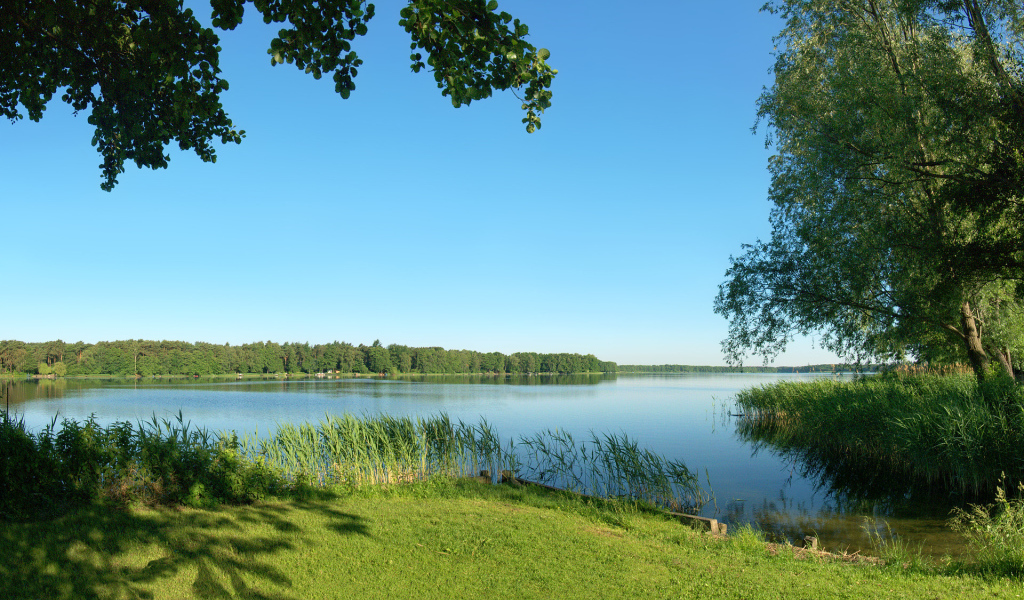 Летняя благодать