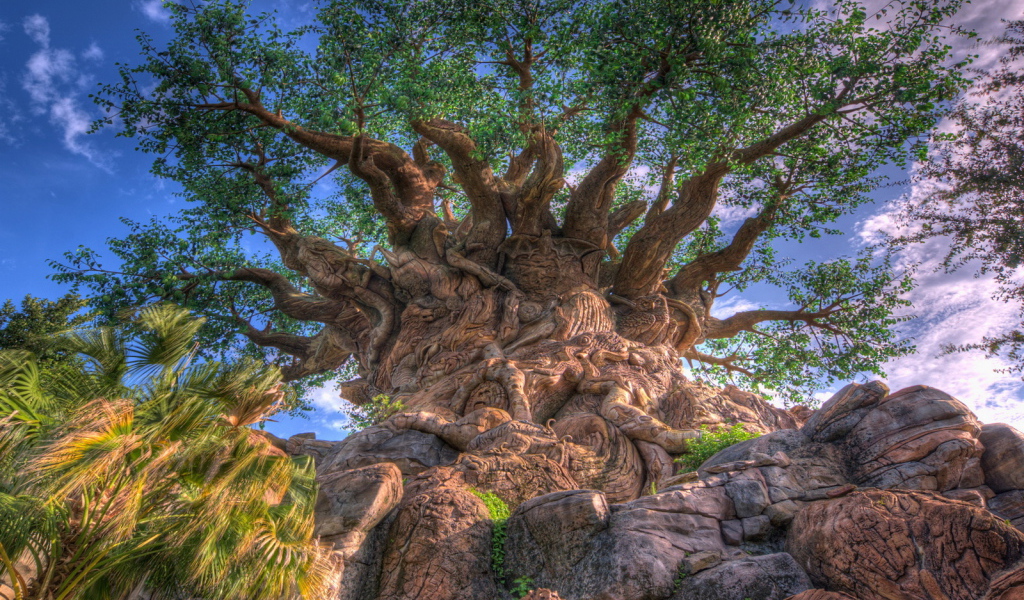 Дерево жизни