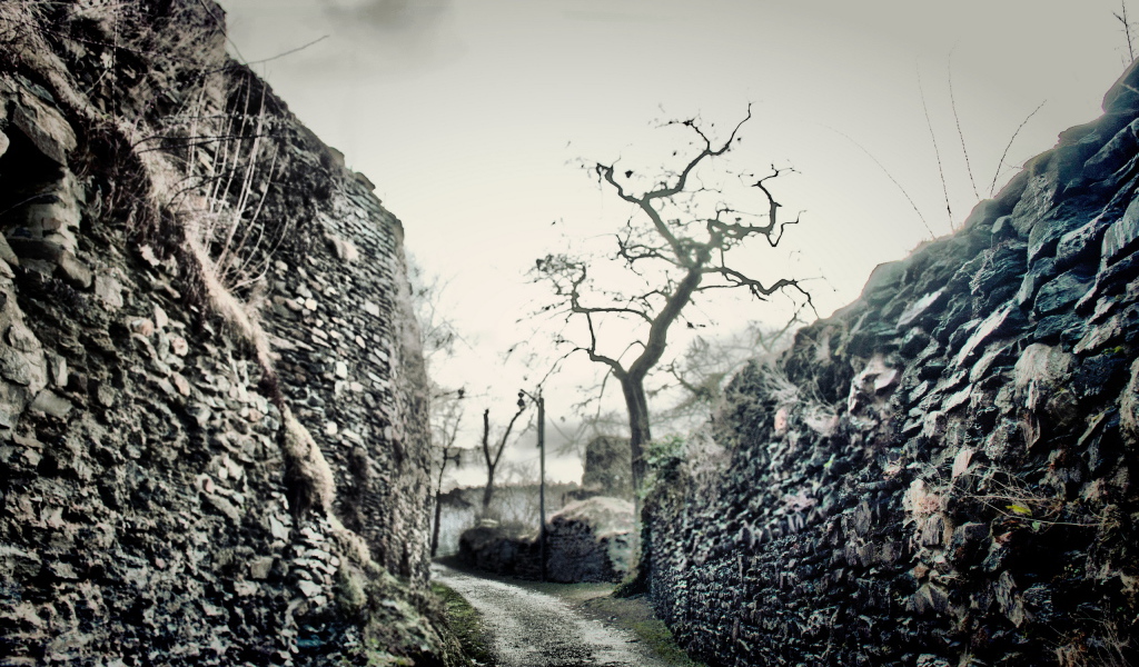 Дорожка между стен