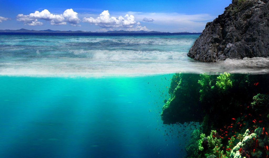 Подводный мир