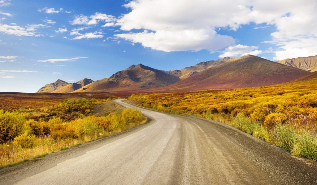 Извилистая дорога