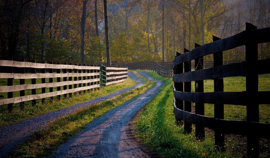 Деревянные заборы