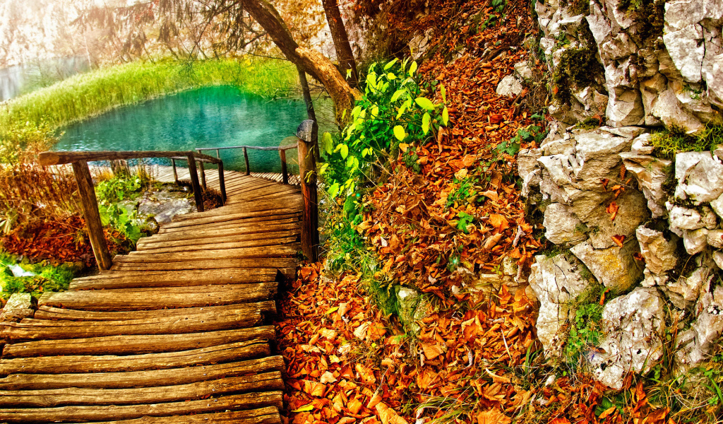 Дорожка к озеру