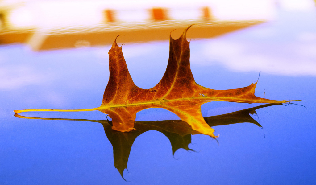 Засохший листок