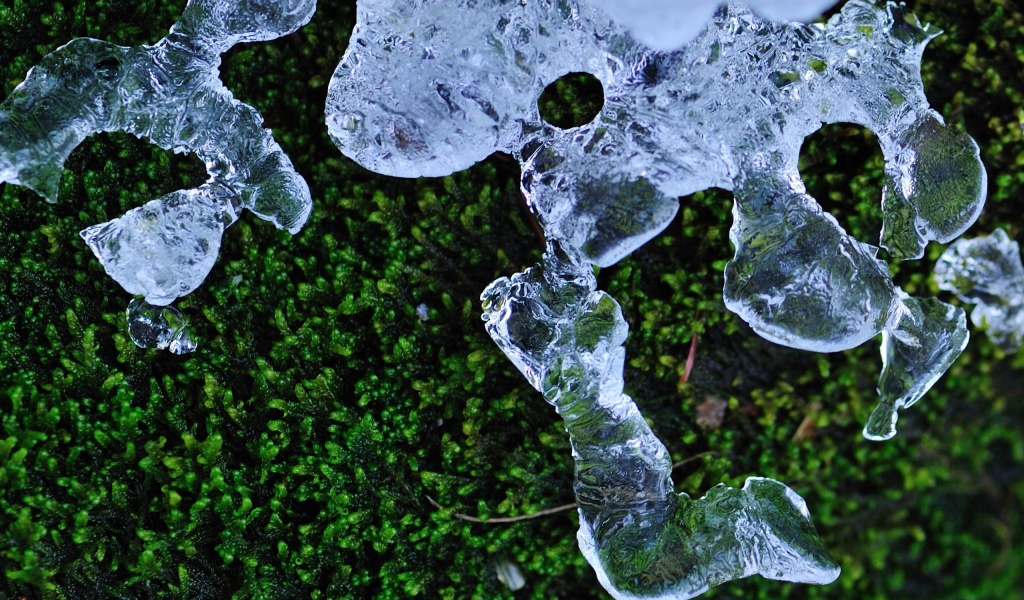 Трава и лед