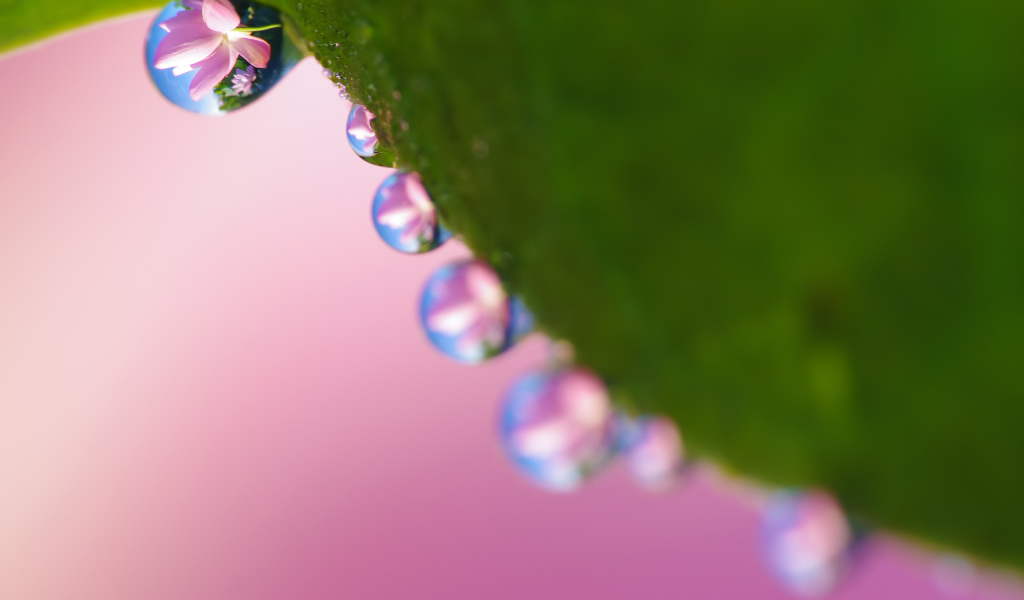 Рабочие обои весна