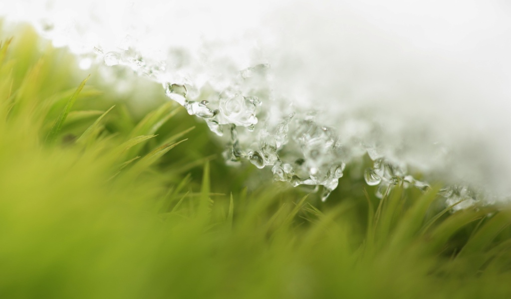 Пришла весна