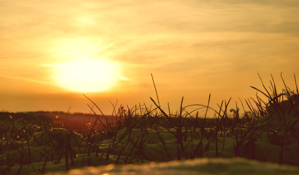 Сквозь снег