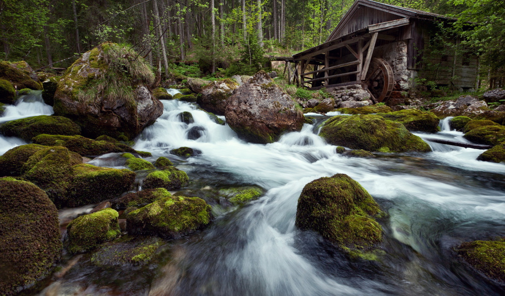 Лесная речка