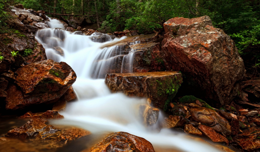 Лесной ручей