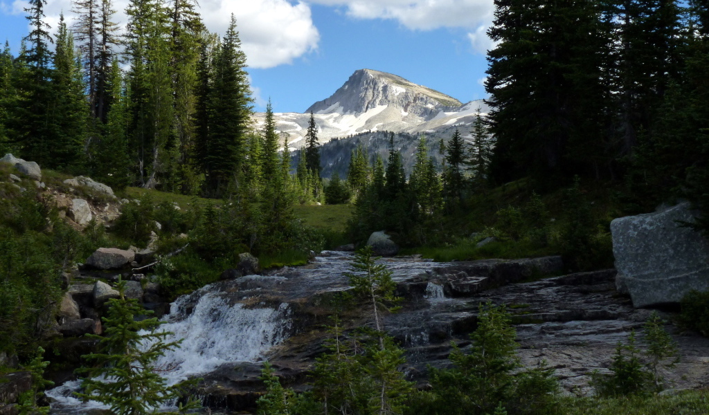 Горная река в штате Орегон