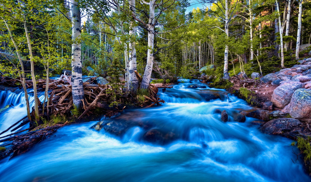 Речка в березах