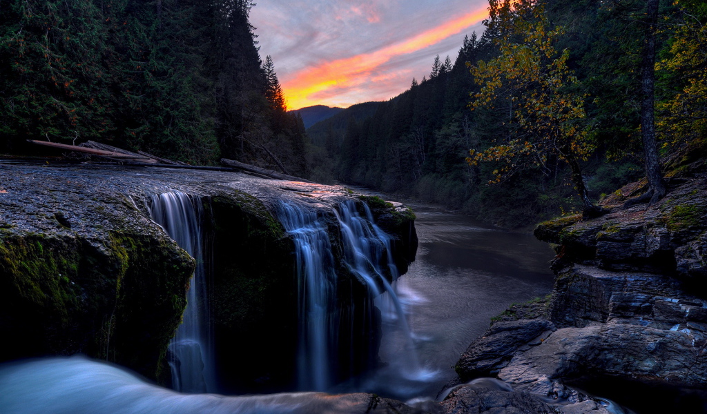 Речка в лесу