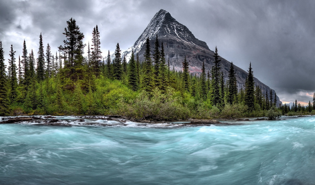 Бурная река